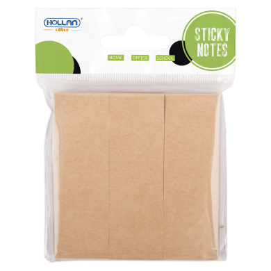 25010528 Sticky Notes